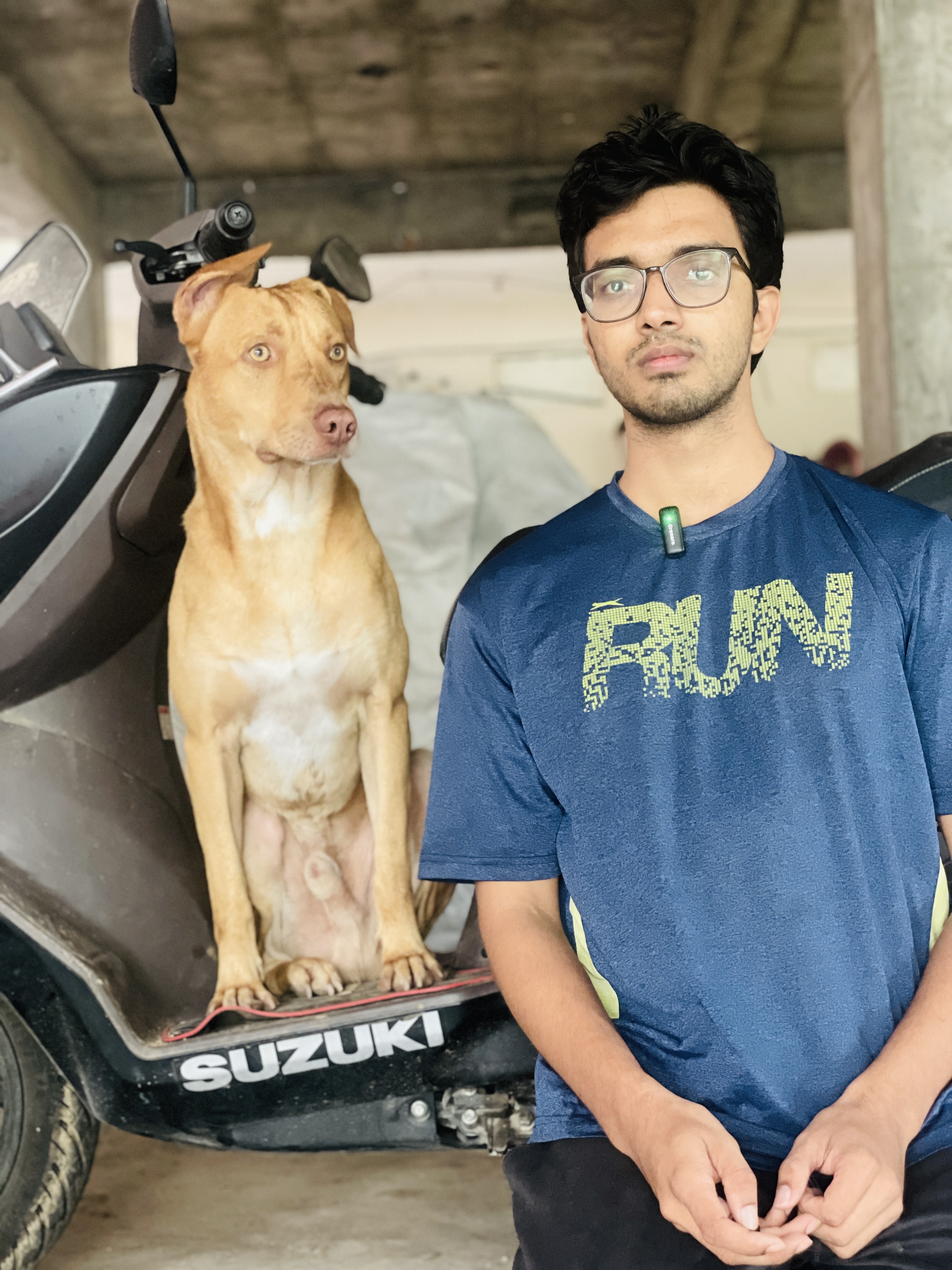 Trainer from Rex N Rio walking a dog off-leash